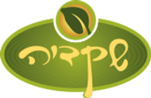 שקדיה